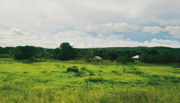 Rural landscape near Mchinga, Lindi District, Lindi Region, Tanzania