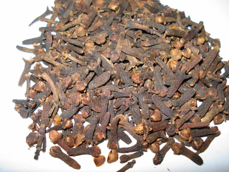 Close-up of whole dried clove buds