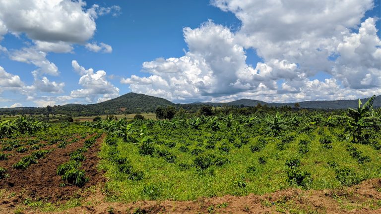 Coffee-growing highland landscape near the Mbozi meteorite site, Mbozi District, Songwe Region, Tanzania