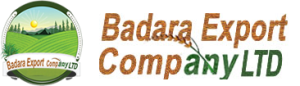 Badara Export Company LTD — official company logo