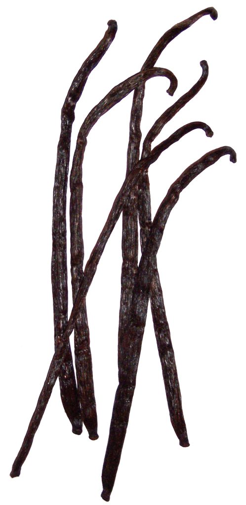 Six cured vanilla bean pods