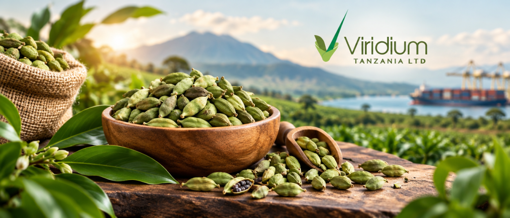 Viridium — Cardamom 1