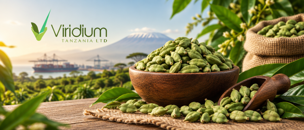 Viridium — Cardamom 2