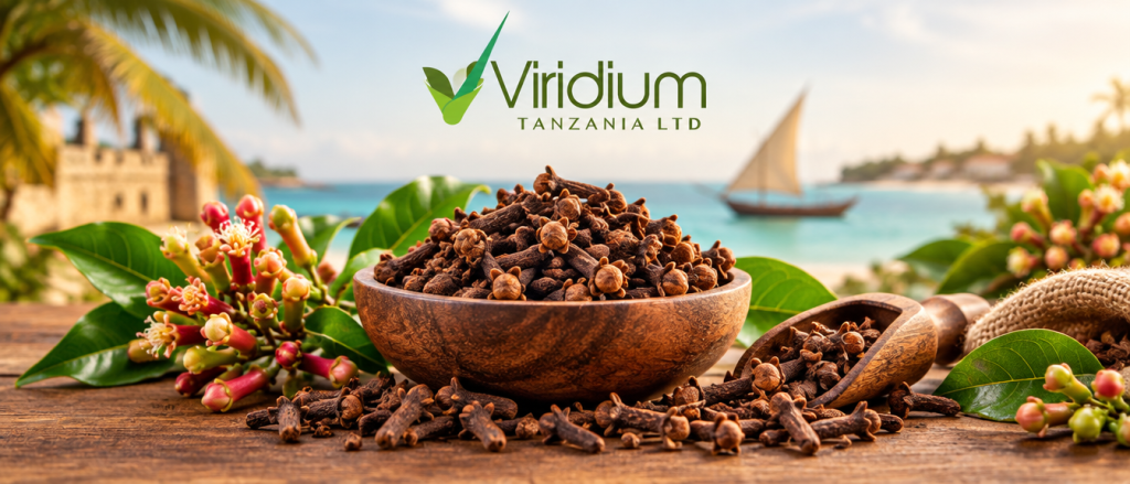 Viridium — Clove 3