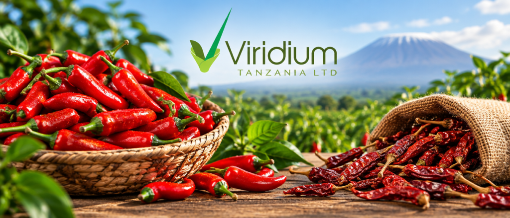Viridium — Chilli 1