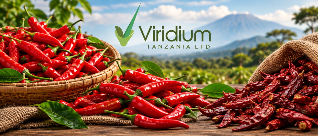Viridium — Chilli 2