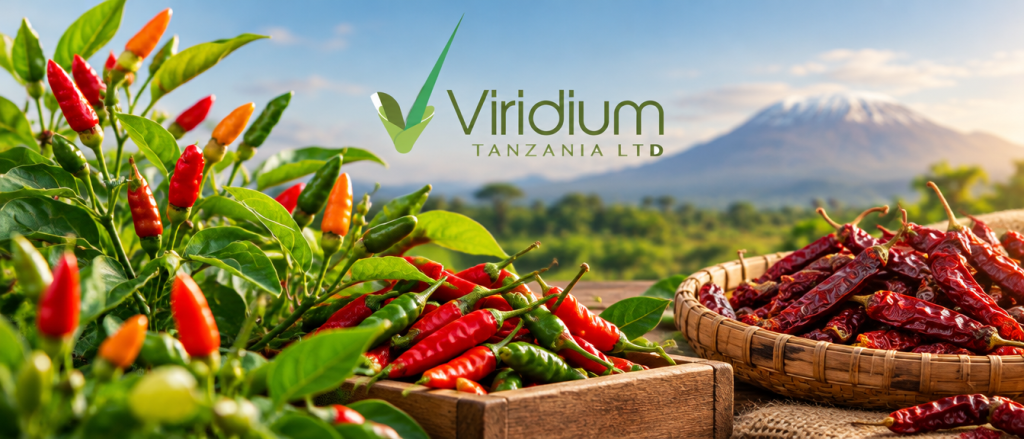 Viridium — Chilli 3