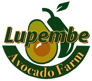 Lupembe Avocado Farm Ltd — official company logo