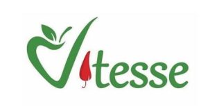 Vitesse Company Limited — official company logo