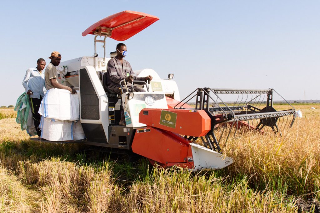 Farmers using a mechanical rice harvester in a paddy field, Igunga, Tabora Region, Tanzania